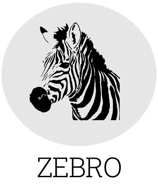 Zebro im Schnoor